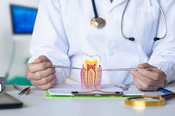 Best Emergency Tooth Extraction in Spencerville, MD